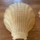 Pair of shell wall lights in frosted glass in Art Deco style.