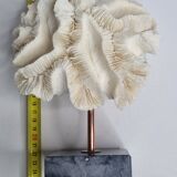Old white coral "méandrine" on marble base, 25 cm