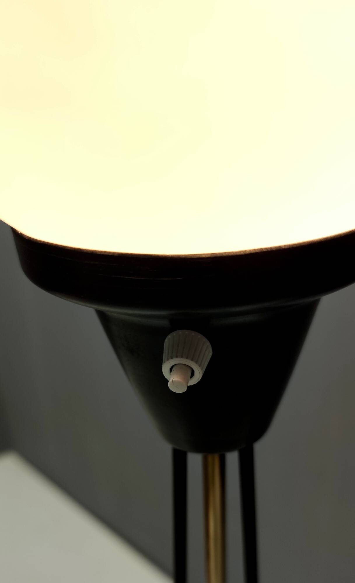 White Opaline Glass and Black Iron Floor Lamp by Stilnovo, Italy