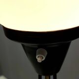 White Opaline Glass and Black Iron Floor Lamp by Stilnovo, Italy