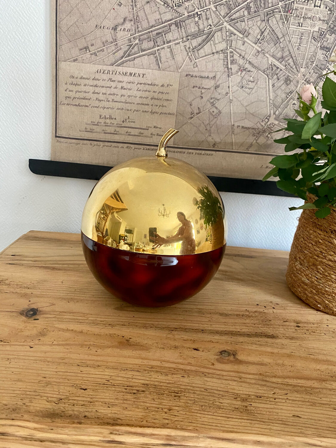 Vintage ice cube apple