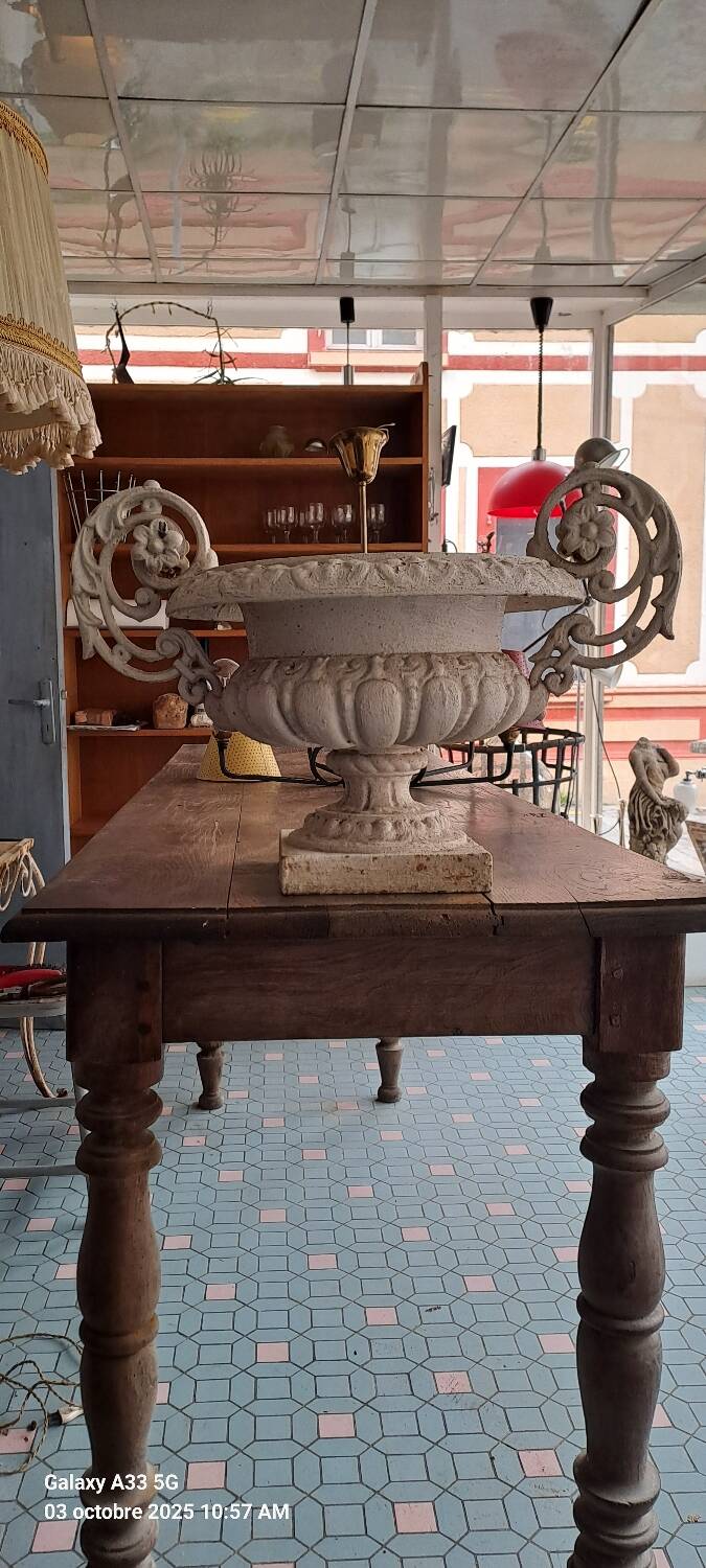 19th century cast iron medicis garden vase