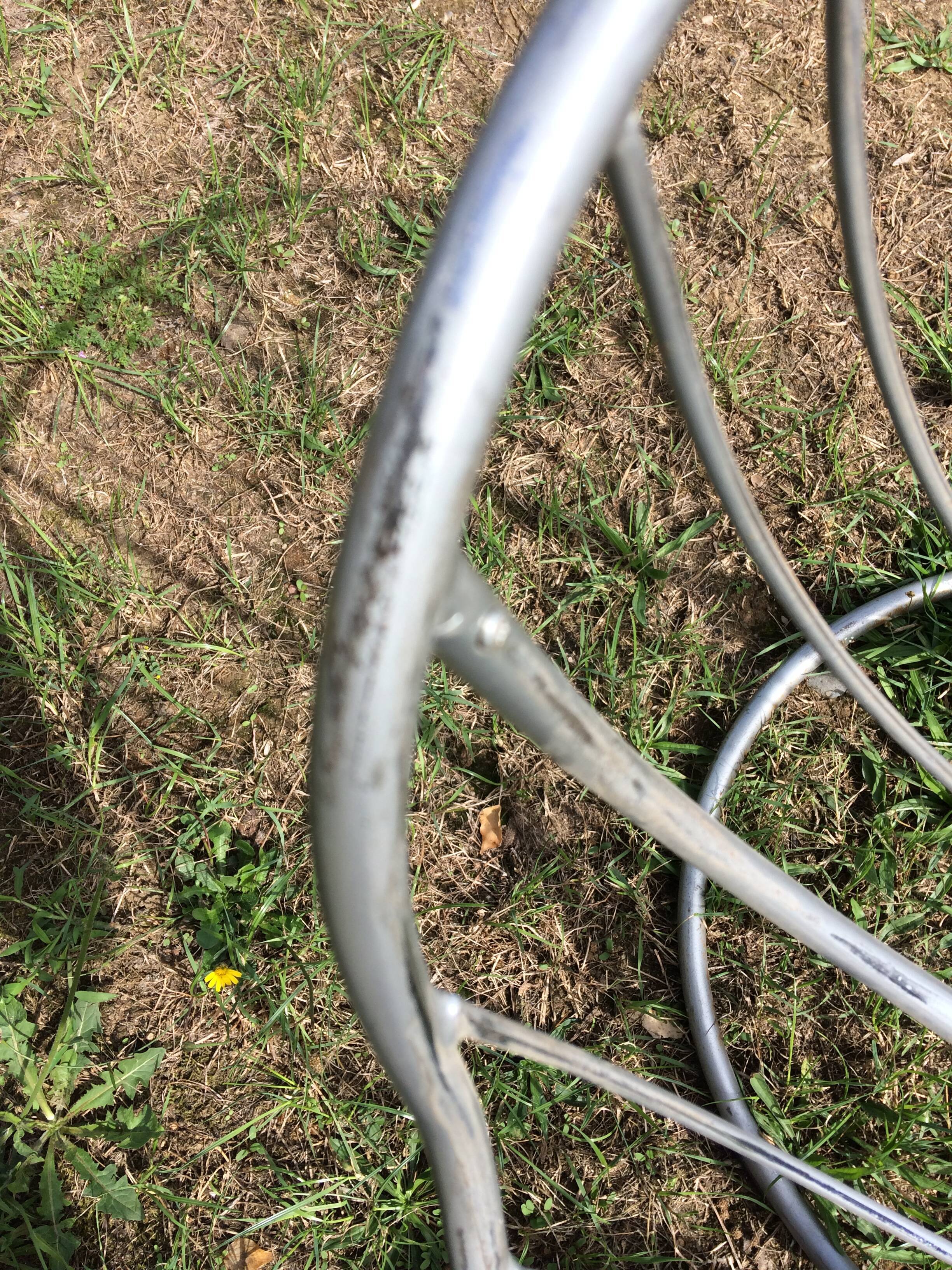 Pan am Gastone Rinaldi chair