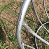 Pan am Gastone Rinaldi chair