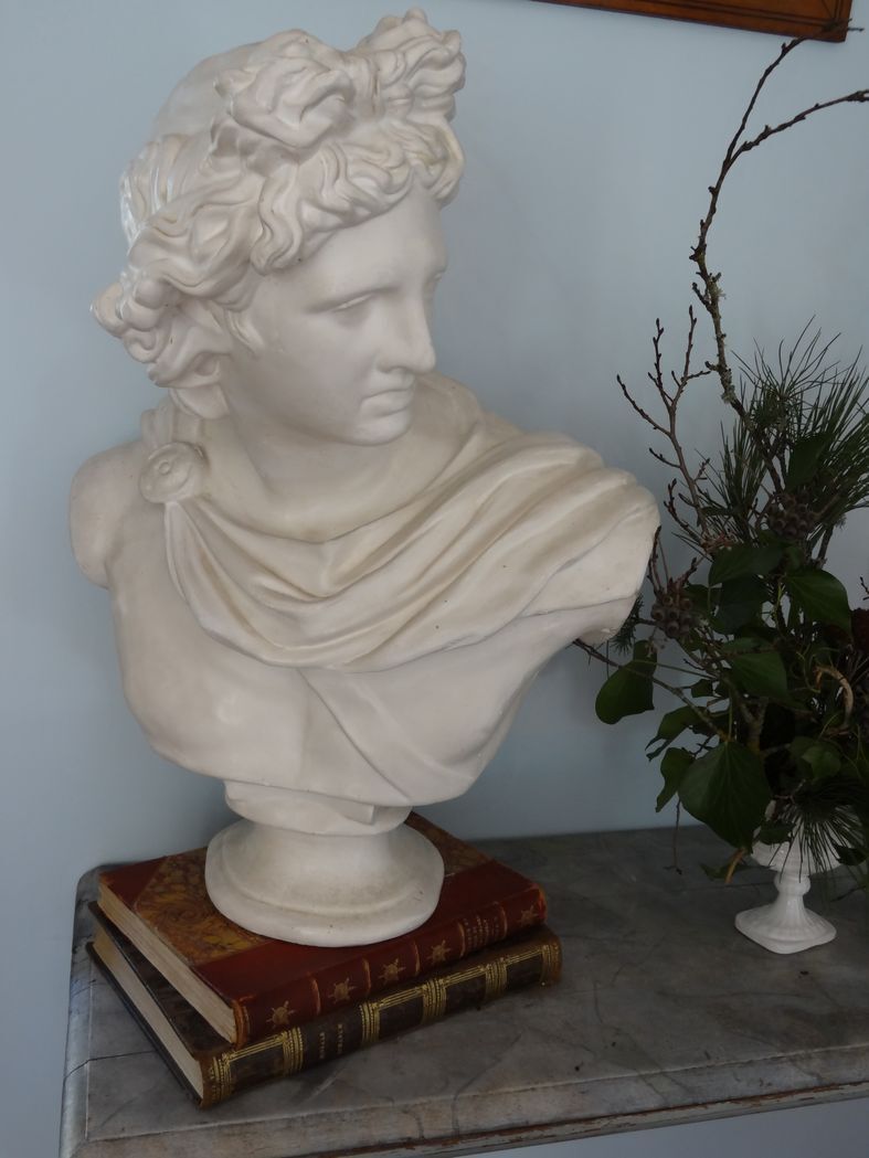 Plaster bust in the antique Apollo of the Belvedere, 70 cm