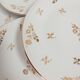 Set of 9 flat plates in Limoges porcelain, white and gold
