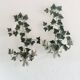 Pair of ivy wall lights