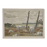 Lithograph by Henri Rivière Aspects of Nature - The Bay