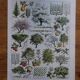 Lot of lithographs on gardens, feathers, medicinal plants and the orchard