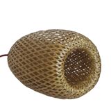 Vietnamese suspension