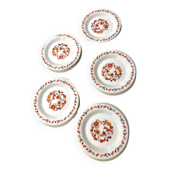 Lot de 5 assiettes à dessert Arcopal collection flore