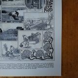 Original lithograph on algae