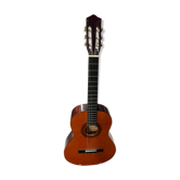 Stagg brand dry guitar