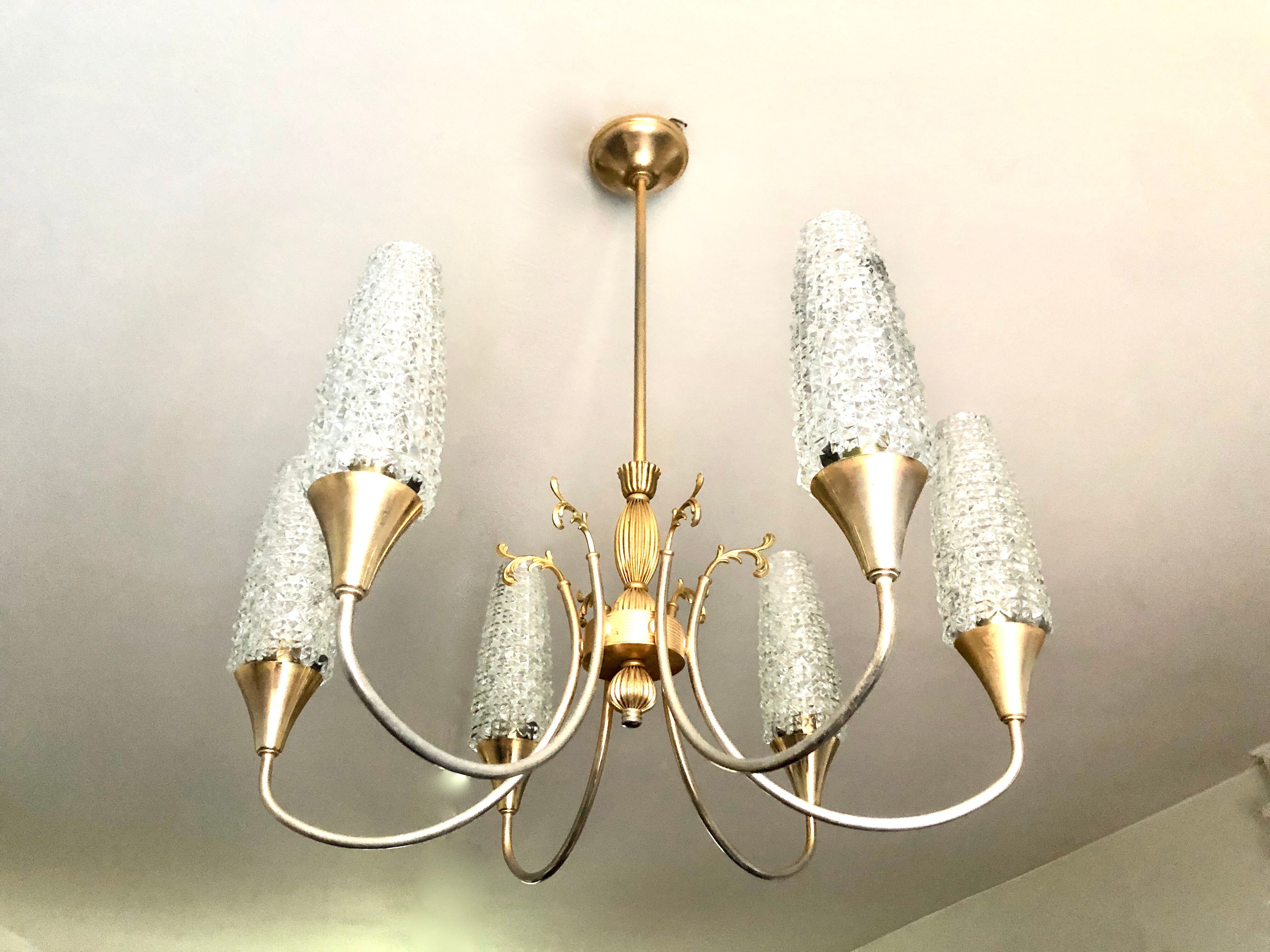 Lustre doré néoclassique 6 tulipes 1960