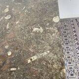 Table basse marbre fossilisé