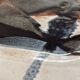 Jacques pouchain dish unique piece