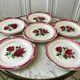 set of 6 dessert plates Digoin Sarreguemines model Cibon years 30-40