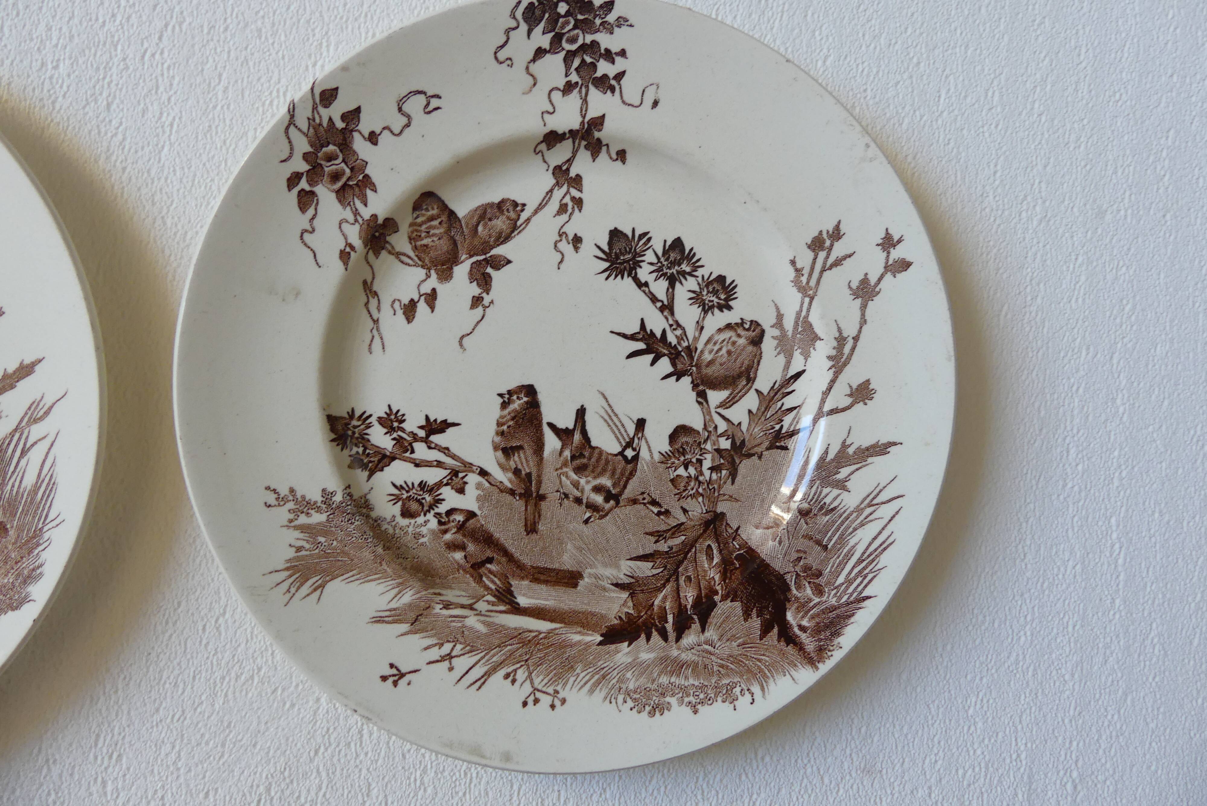4 plates creil & montereau chardonnerets model with sepia birds decor