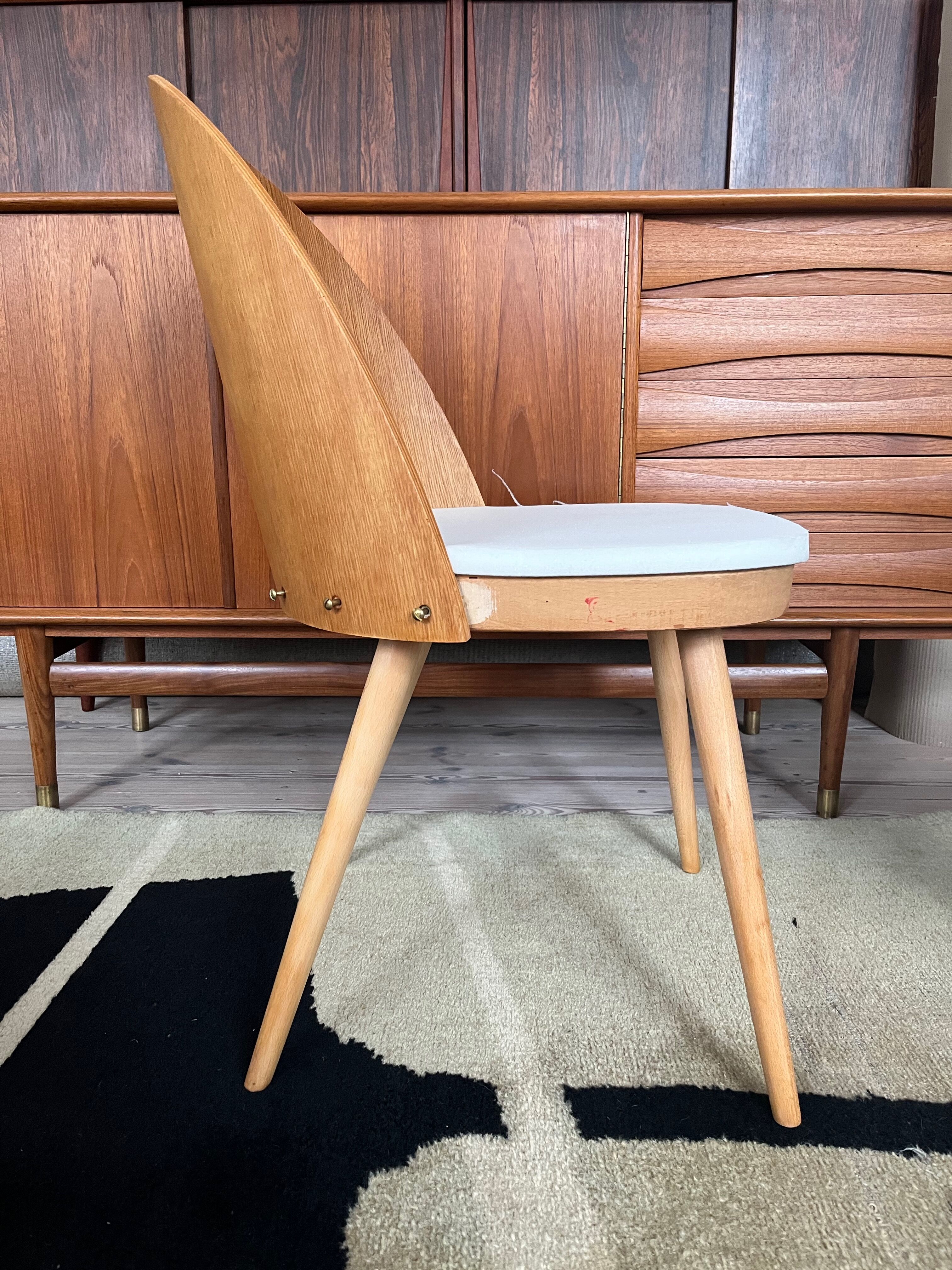 Ensemble de 6 chaises de salle à manger par Antonin Šuman