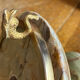 Onyx lamp, fish feet in bronze.