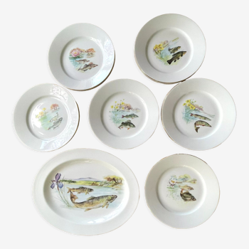 12 assiettes fish design limoges