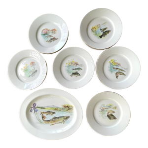 12 assiettes fish design