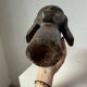 African Fang reliquary head