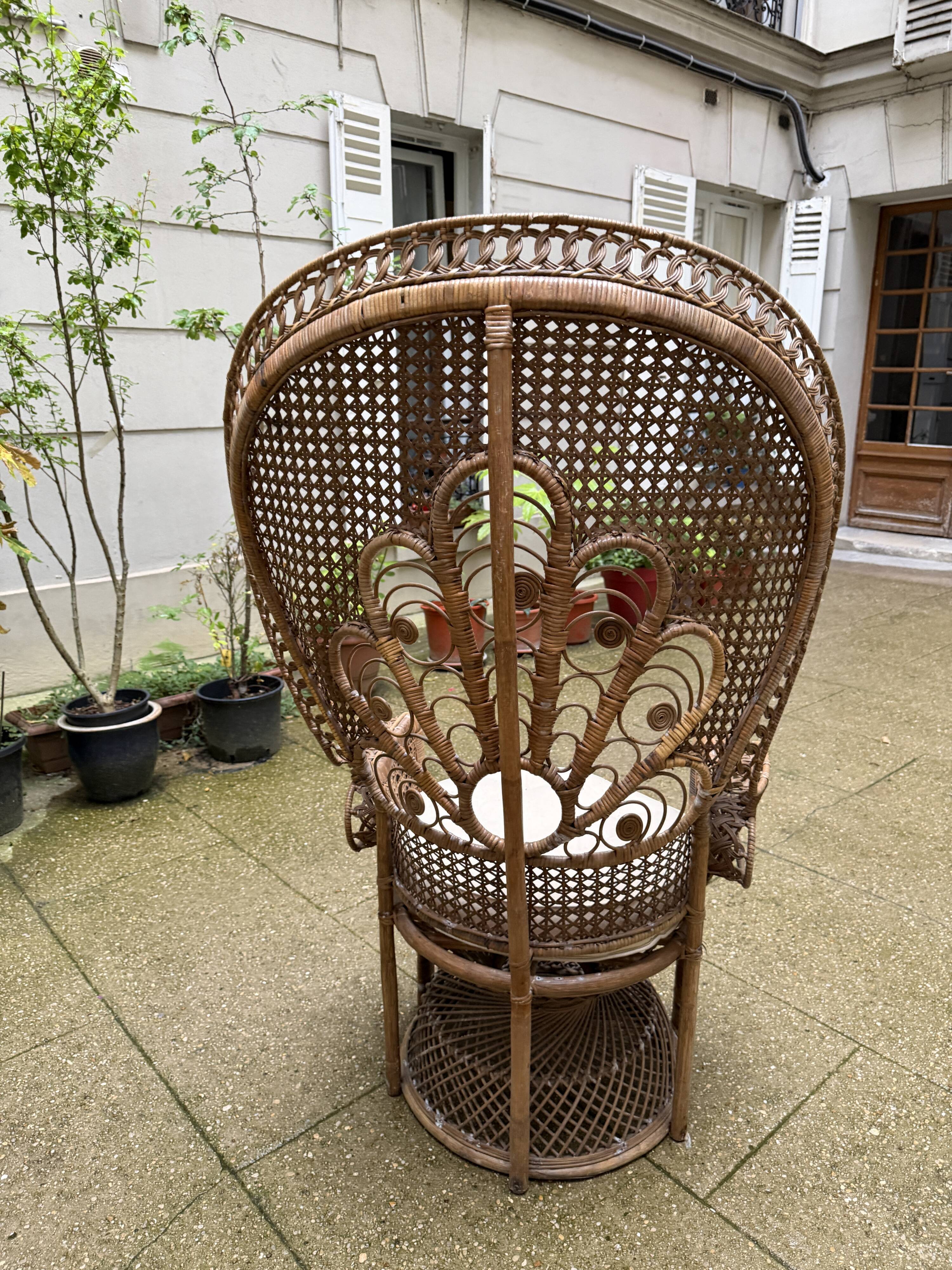 Rattan armchair "Emmanuelle" or peacock