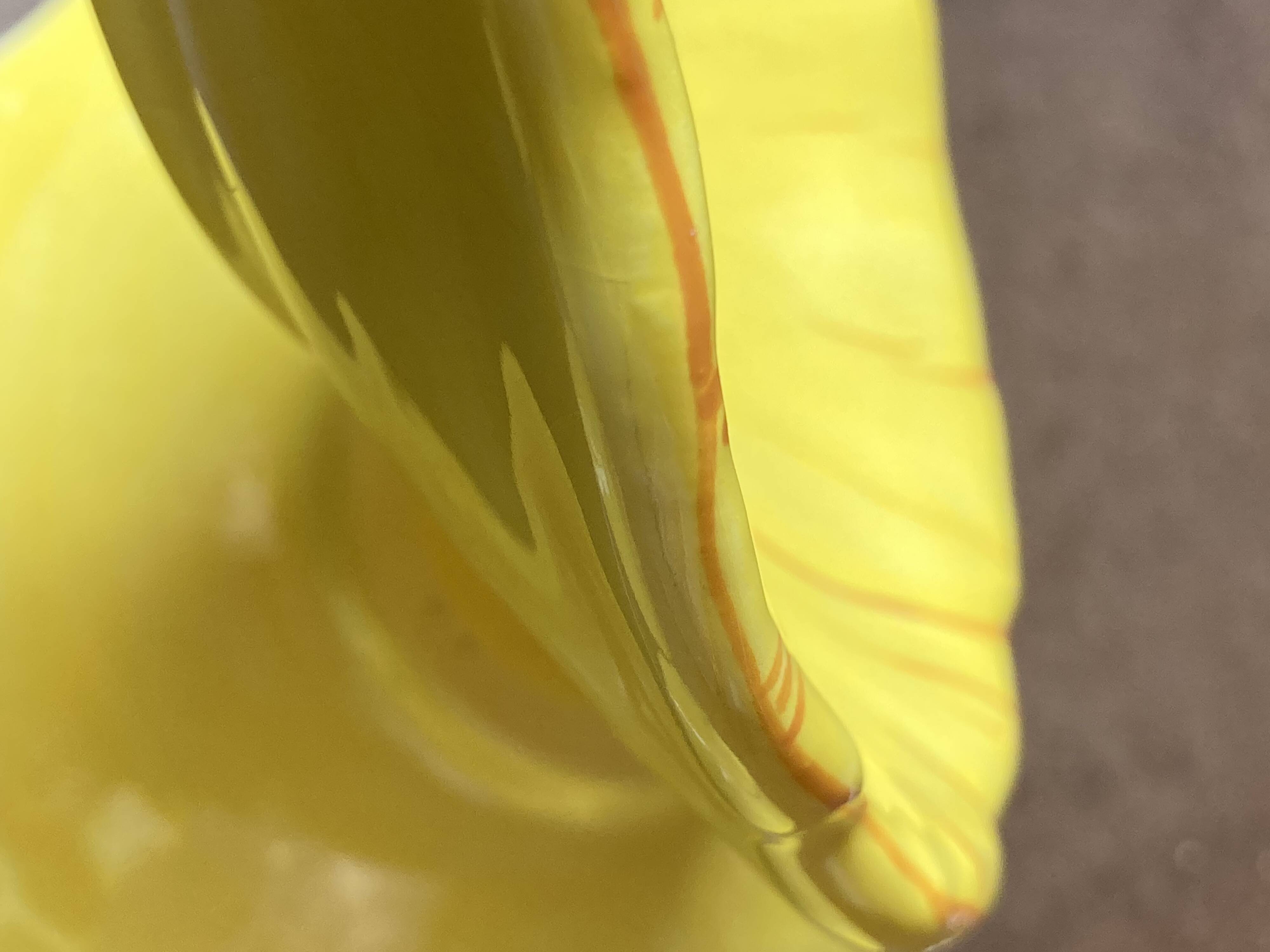 Dessert bowls EXCLUSIVE model Thought HANDMADE