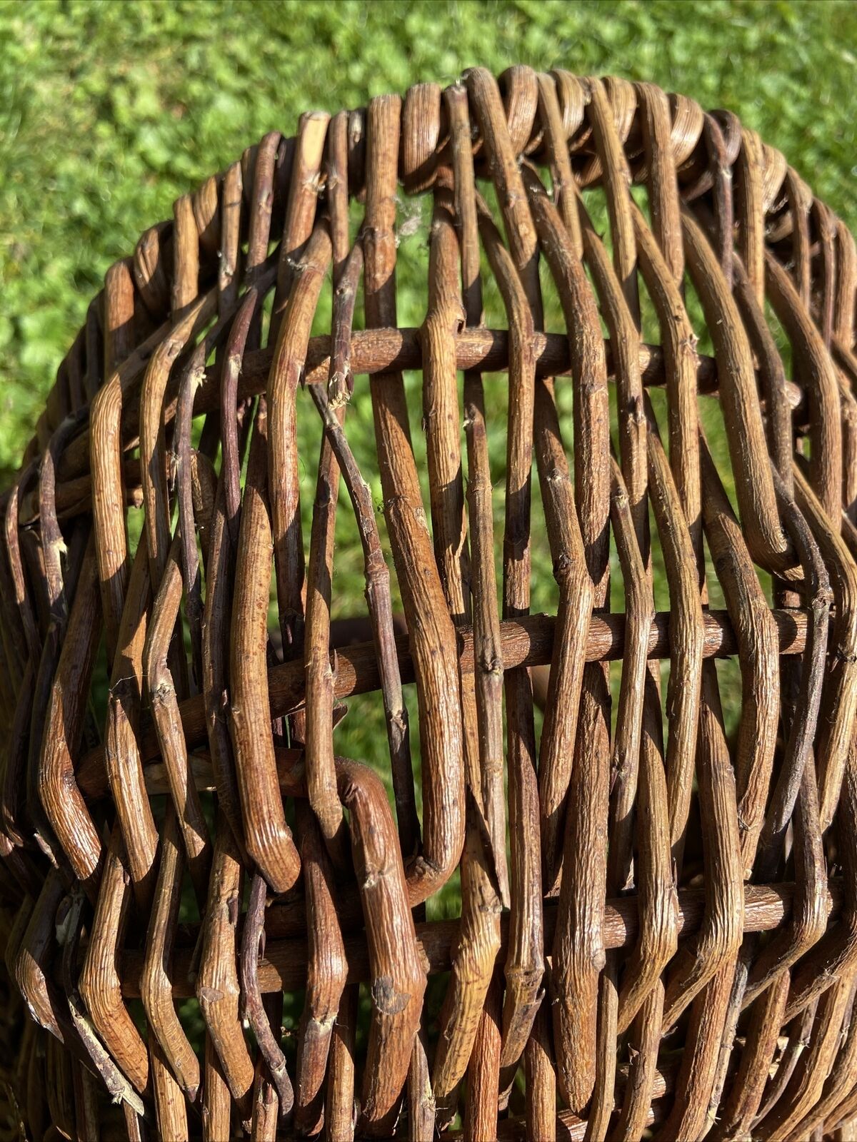 Basket with wicker handle picking vegetable garden mushrooms