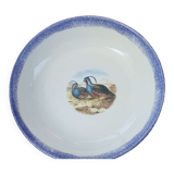 Salad bowl
