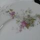 Lot de 16 assiettes porcelaine de Paris