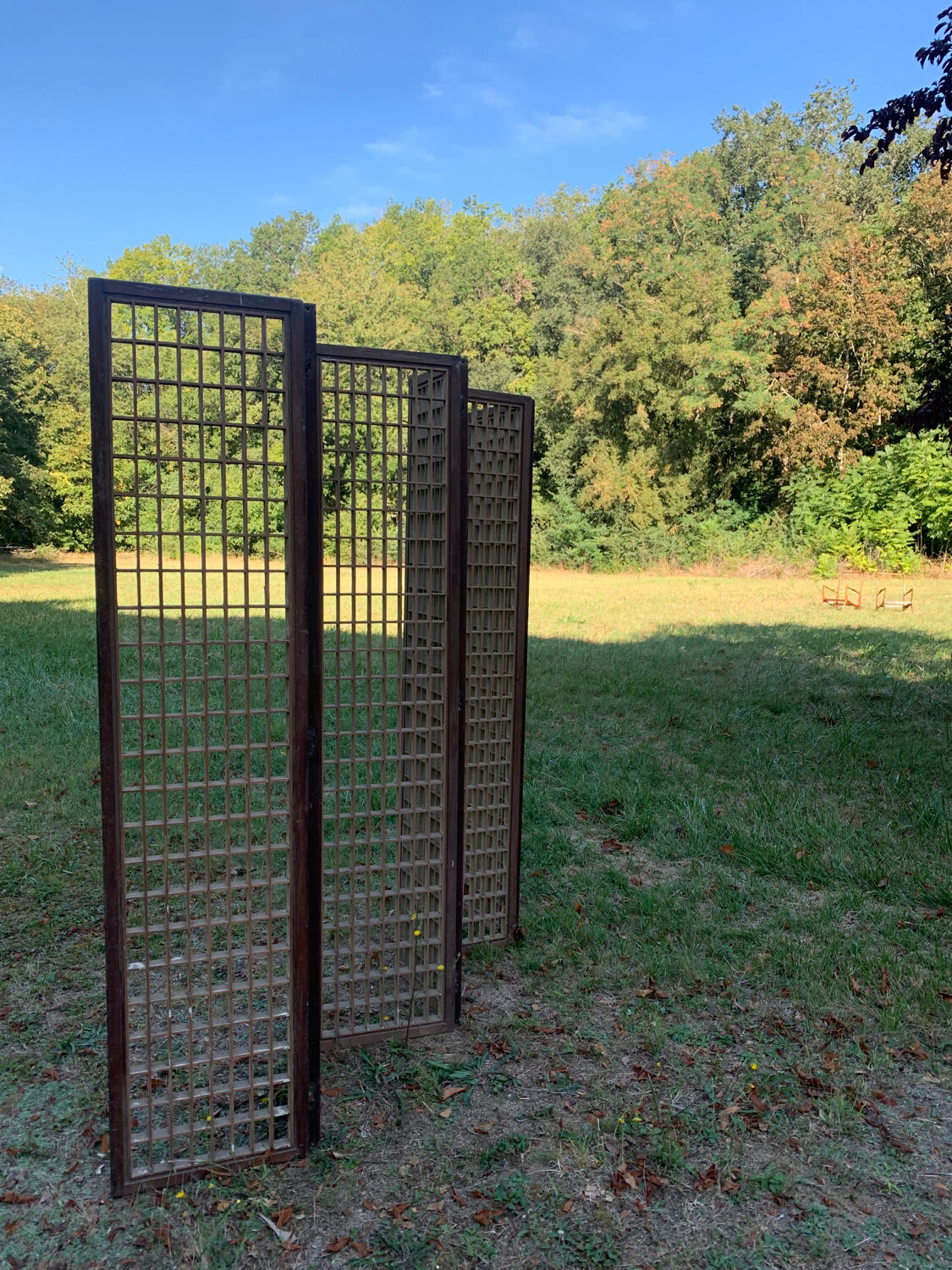 Joaquim Tenreiro rosewood Jockey screen
