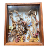 Vintage frame with butterflies and dried flowers