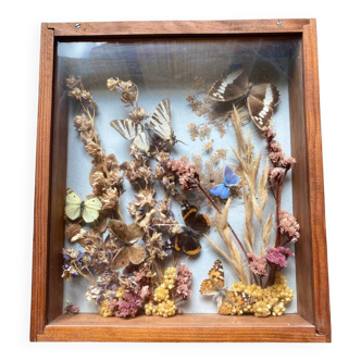 Vintage butterflies and dried flowers frame