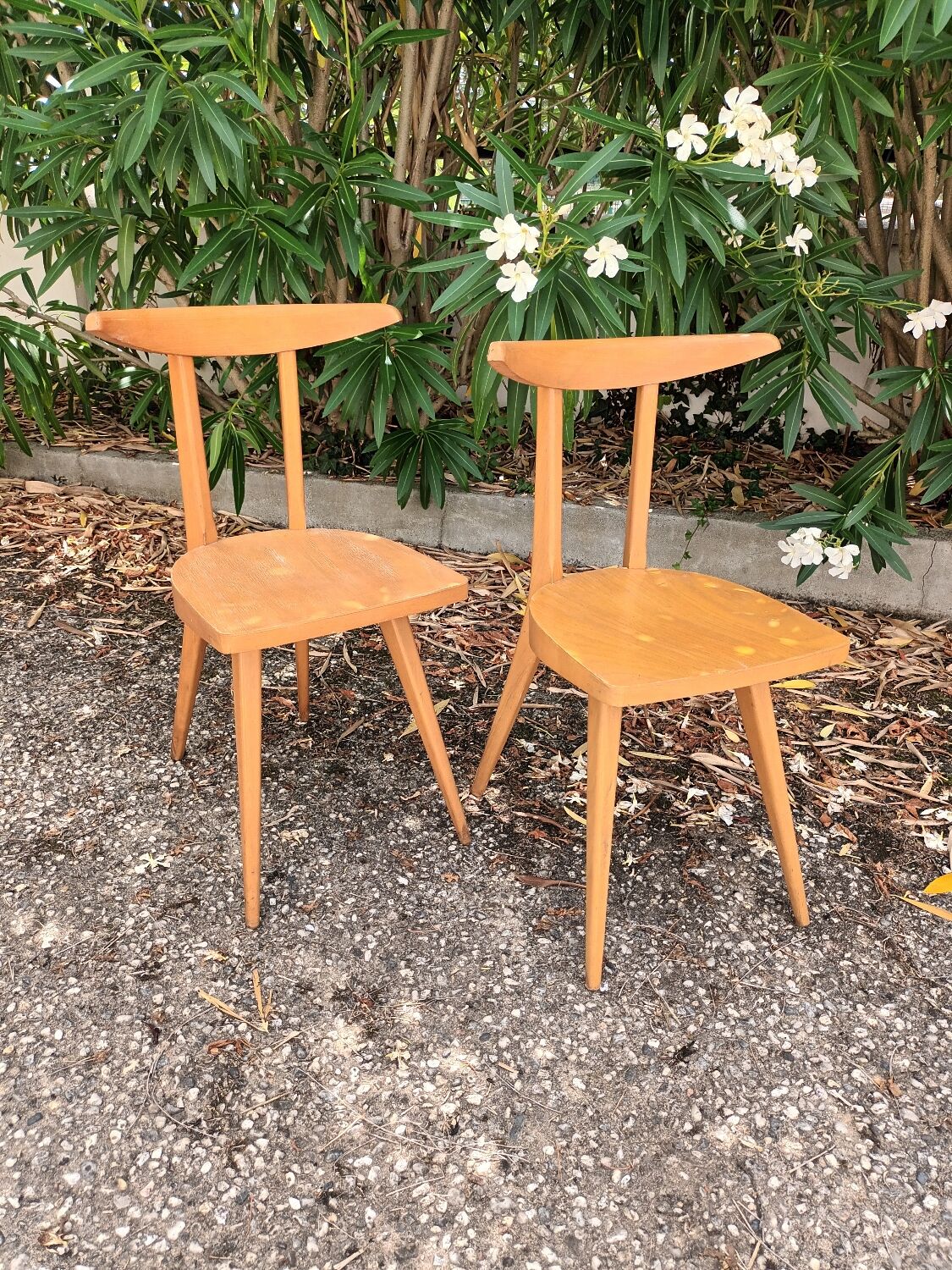 Antelope Chairs Stella Luterma