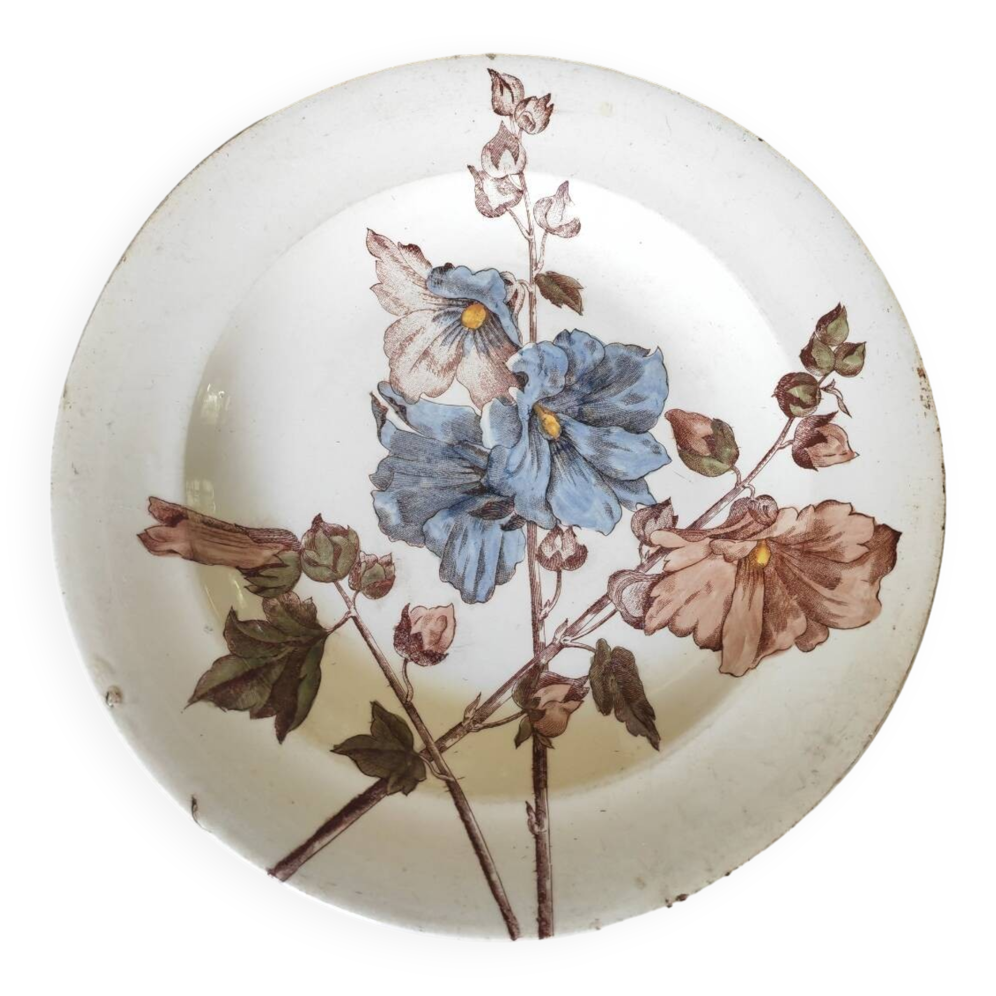 Old polychrome plate Trémières