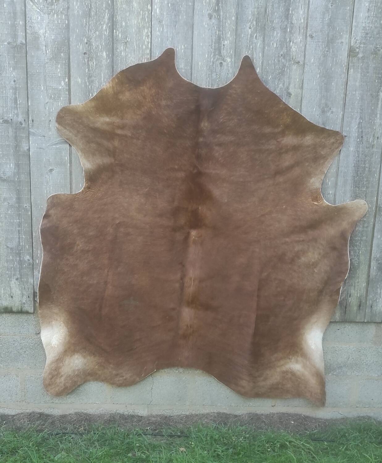 Cowhide XL