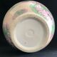 China enamel lotus vase China 19th Height 30.02 cm