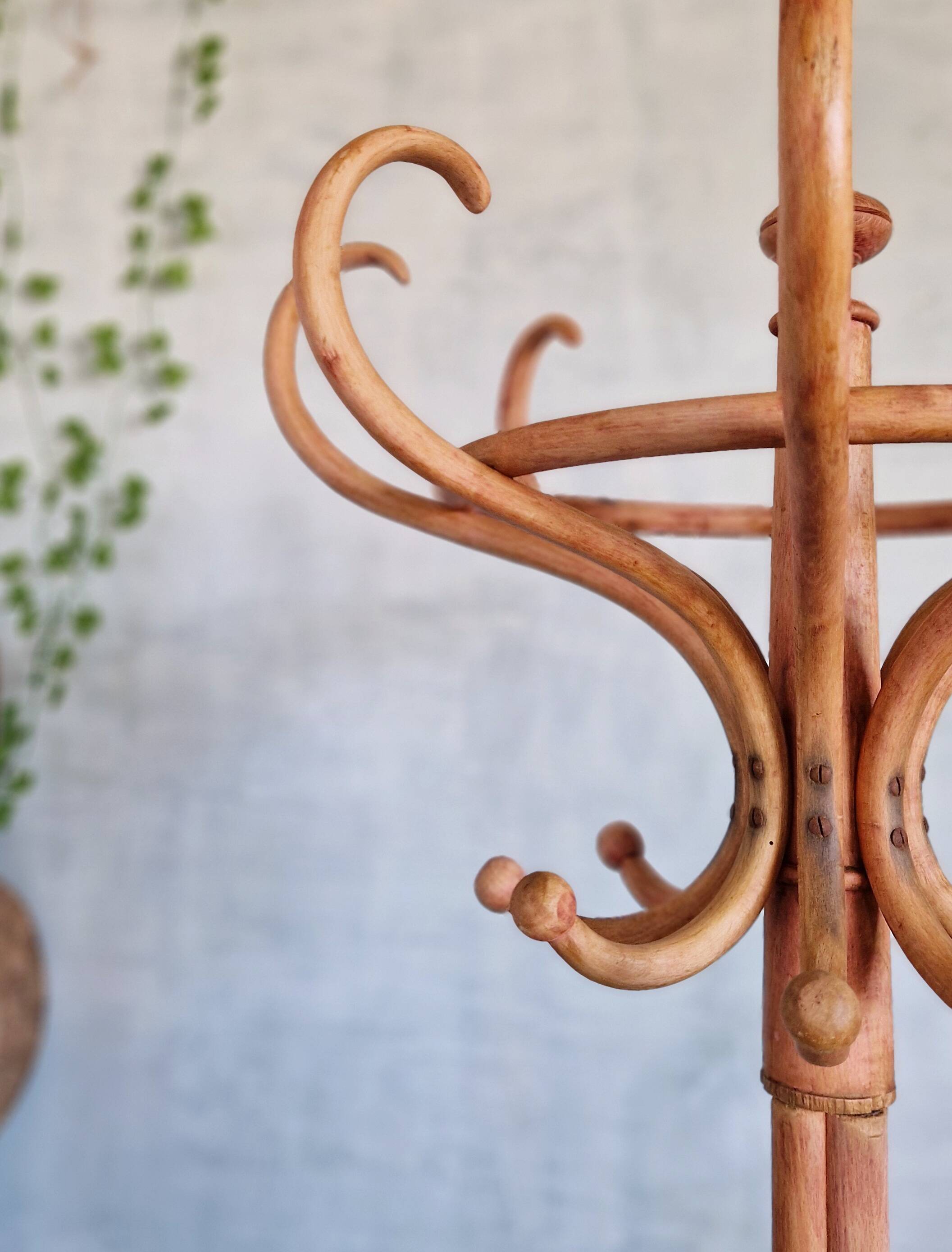 Beautiful Thonet parrot coat rack