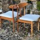 A set of GPlan chairs in teak with a white woolly fabric