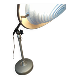 Lampe indus L. F. Solere