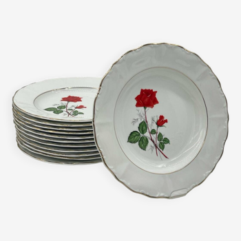 Lot 12 Vintage porcelain soup plate with flowers Digoin & Sarreguemines - SEVIGNE model - ROSE decor