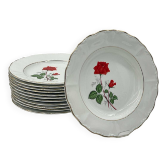 Lot 12 Vintage porcelain soup plate with flowers Digoin & Sarreguemines - SEVIGNE model - ROSE decor