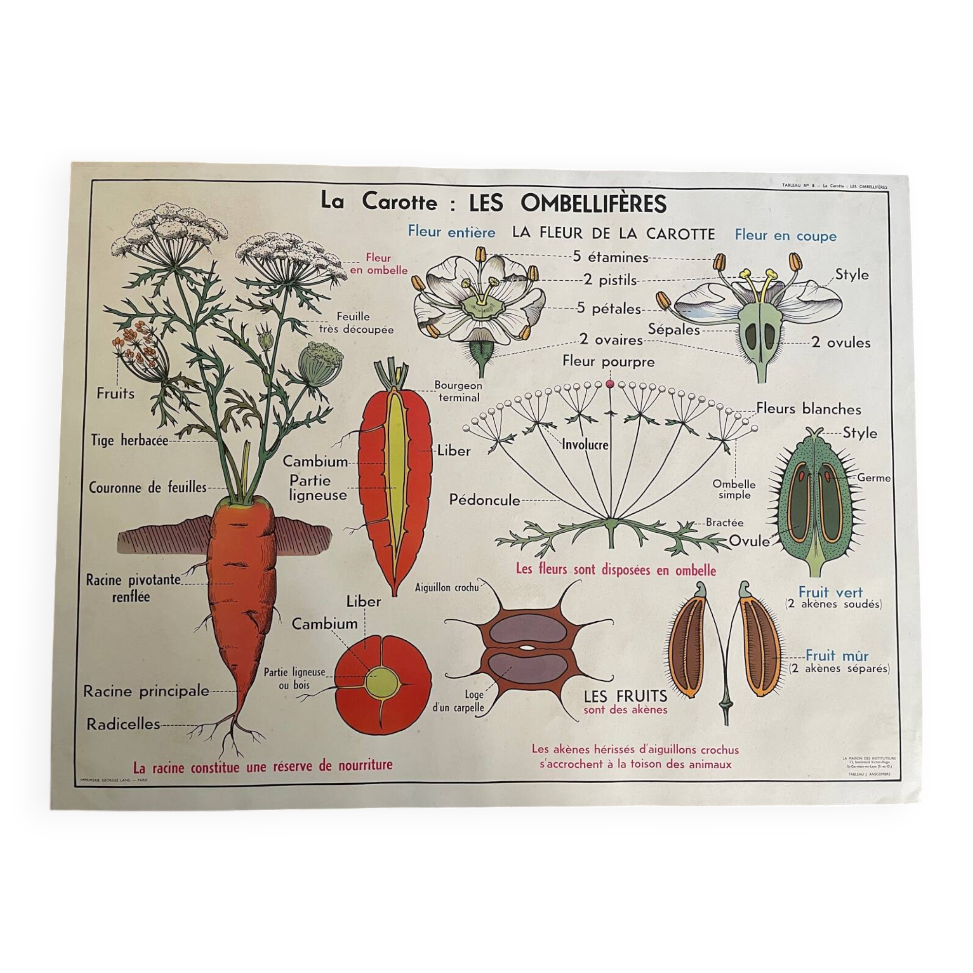 Old school educational poster, school