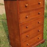 Mahogany and marble chest of drawers or chiffonier