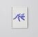 Page 1 of 7 Botanical illustration giclee print, 50x70