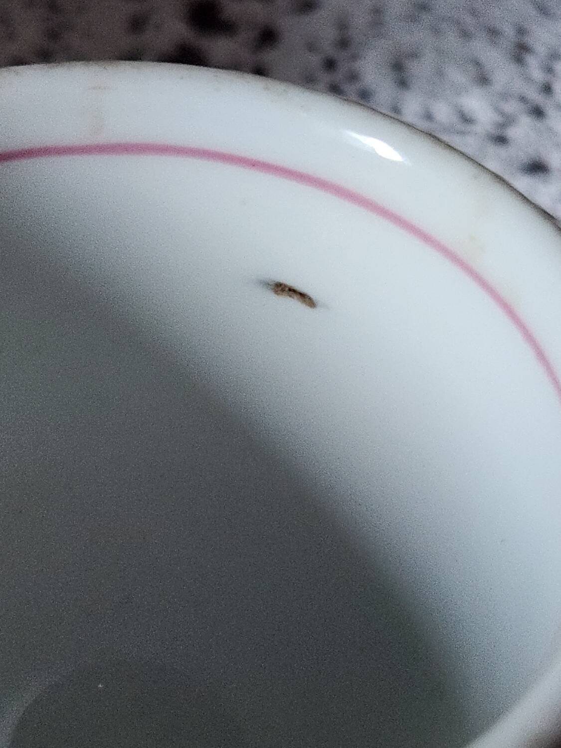 2 tasses à café Brulot de barware lourd taille demi-tasse de la fin des années 1800. Ustensiles blancs expresso Kitchenalia. Bistrot français rustique