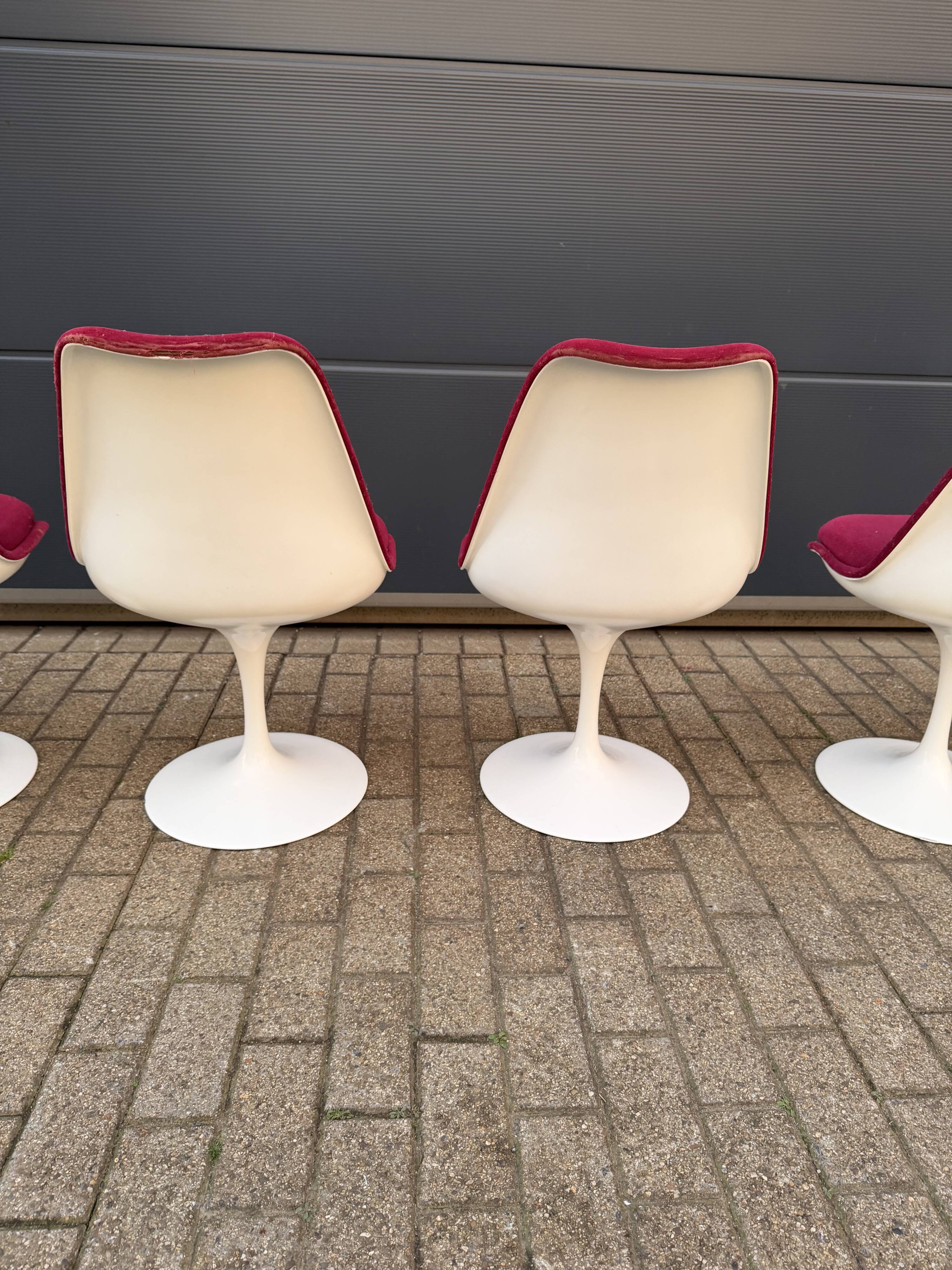 6 original vintage Knoll Tulip chairs by Eero Saarinen