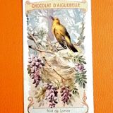 Set of 5 chromolithographs on Aiguebelle chocolate cardboard